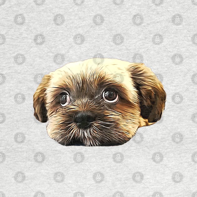 Shih Tzu Puppy Eyes! by ElegantCat